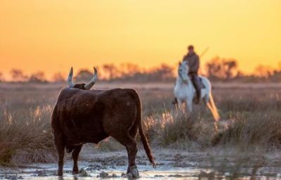 seminaire en camargue les 23, 24 et 25 septembre 2026